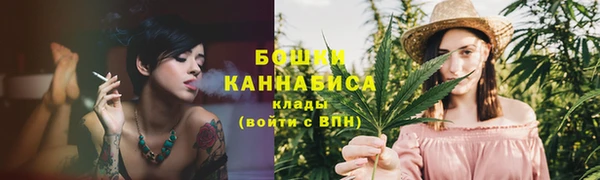 крисы Нязепетровск
