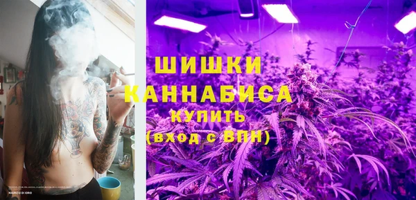 spice Новодвинск