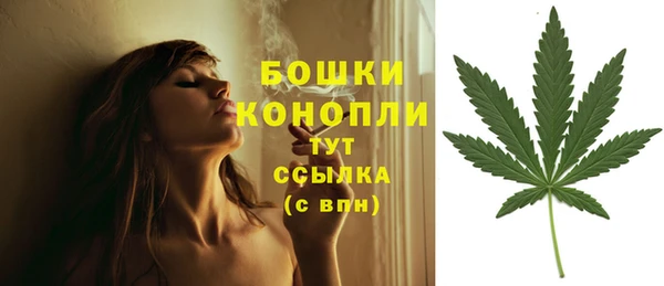 spice Новодвинск