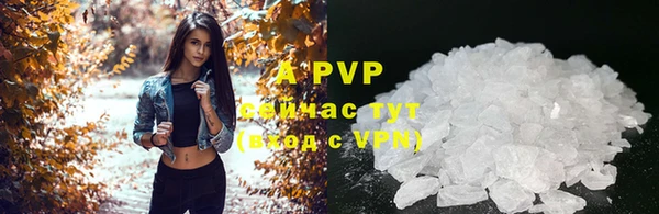 прущие крисы Няндома