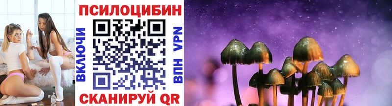 Галлюциногенные грибы MAGIC MUSHROOMS  купить наркоту  Тавда 