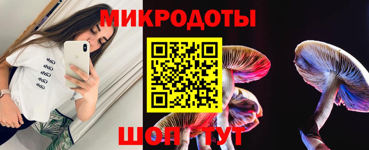 Псилоцибиновые грибы Cubensis  Вход с VPN  Тавда 
